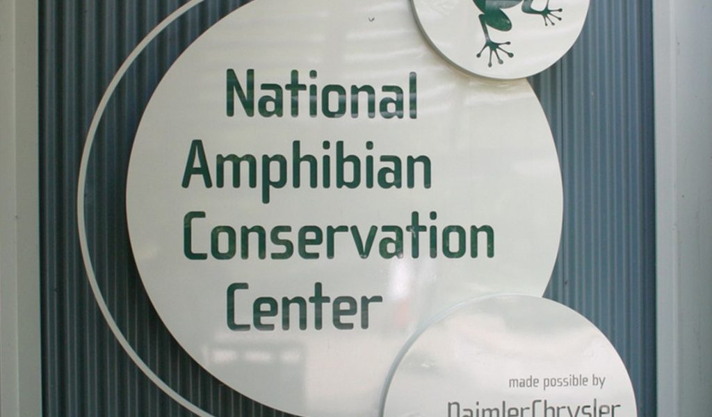 National Amphibian Conservation Center (Amphibiville) – White Construction